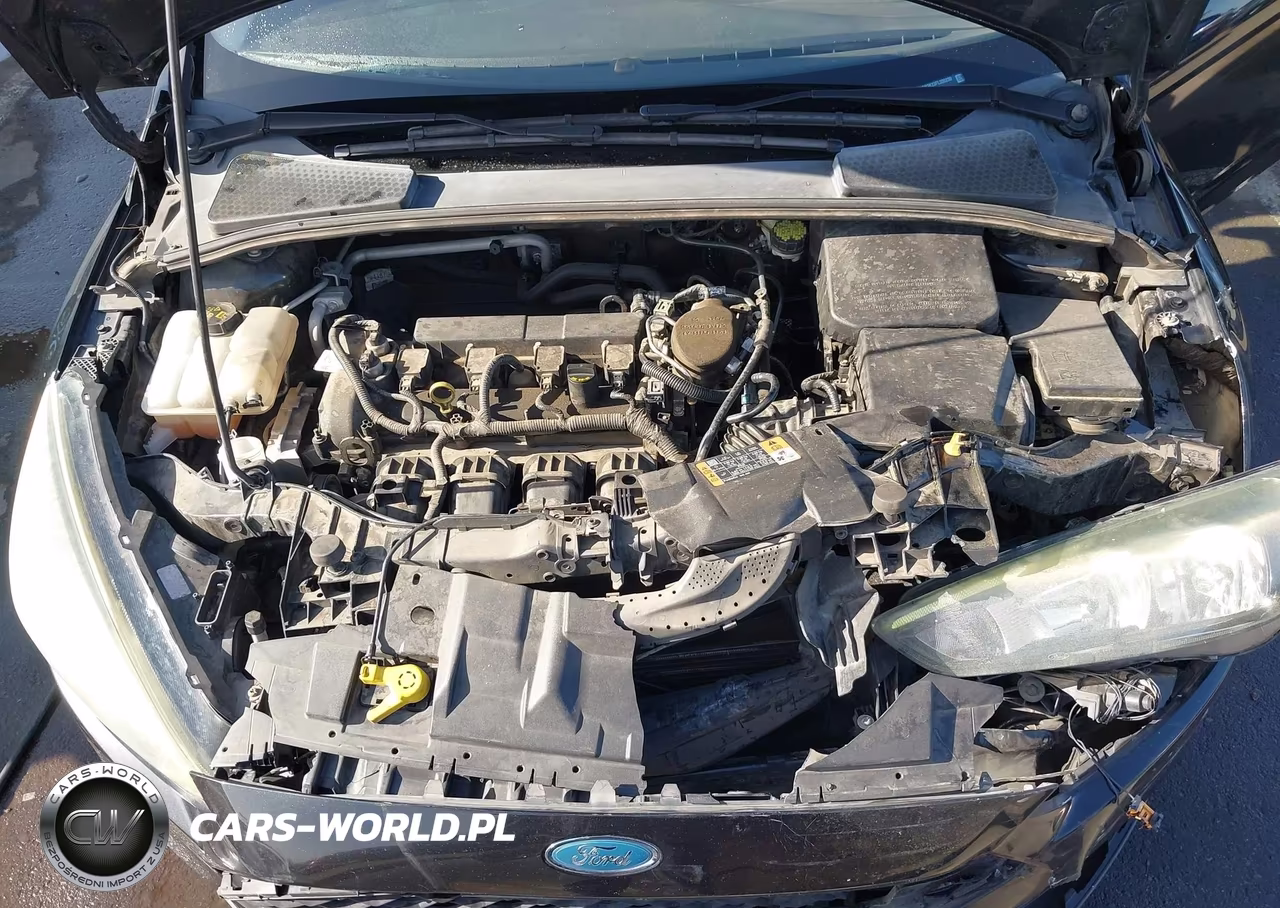 2015 Ford Focus Se VIN:1FADP3K23FL330239 - 10