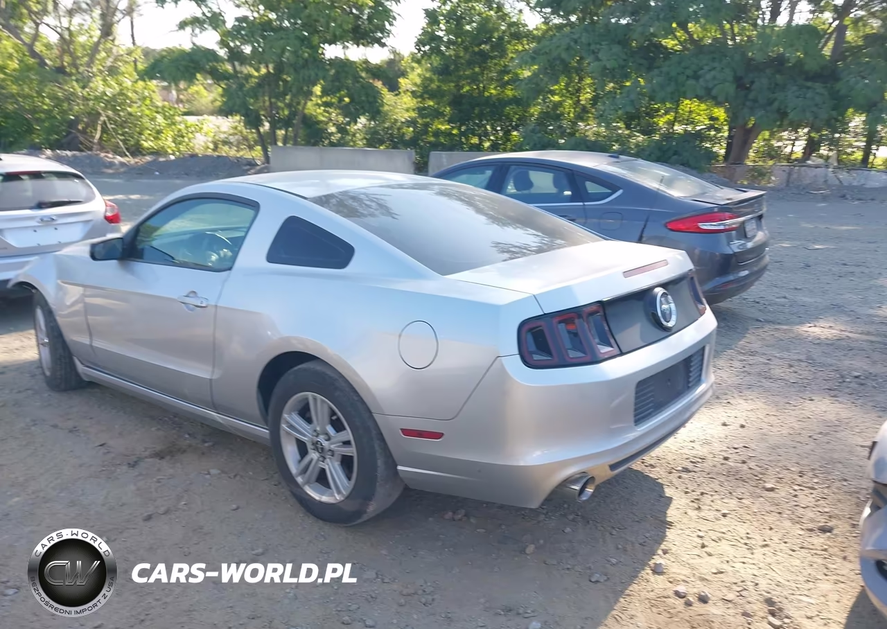 2014 Ford Mustang V6 VIN:1ZVBP8AM2E5280192 - 14