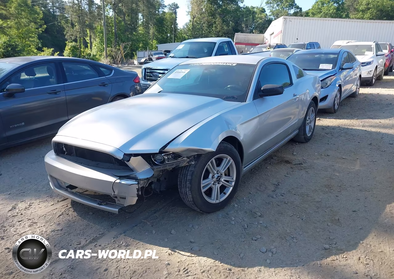 2014 Ford Mustang V6 VIN:1ZVBP8AM2E5280192 - 2