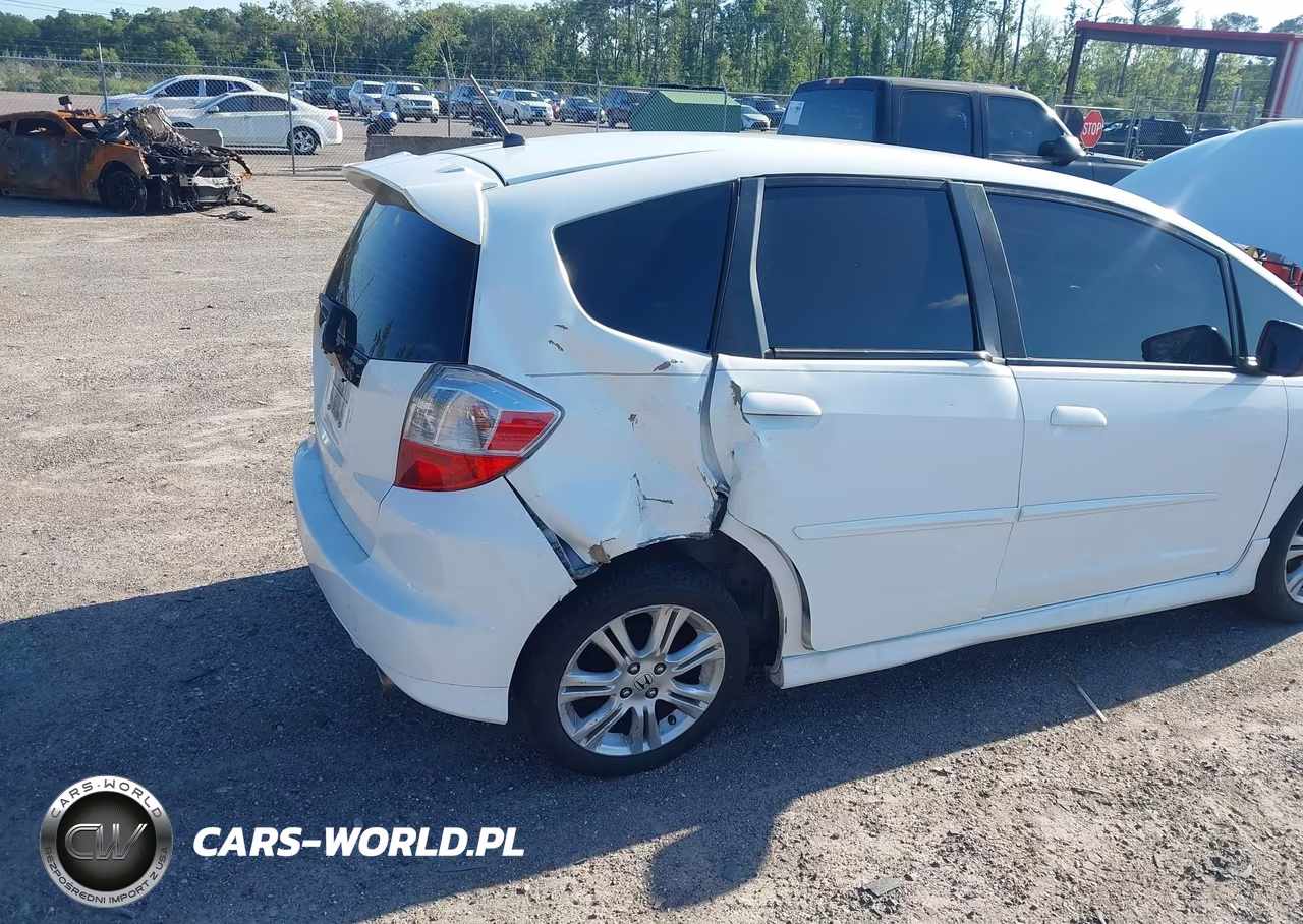 2010 Honda Fit Sport VIN:JHMGE8H45AC038506 - 6