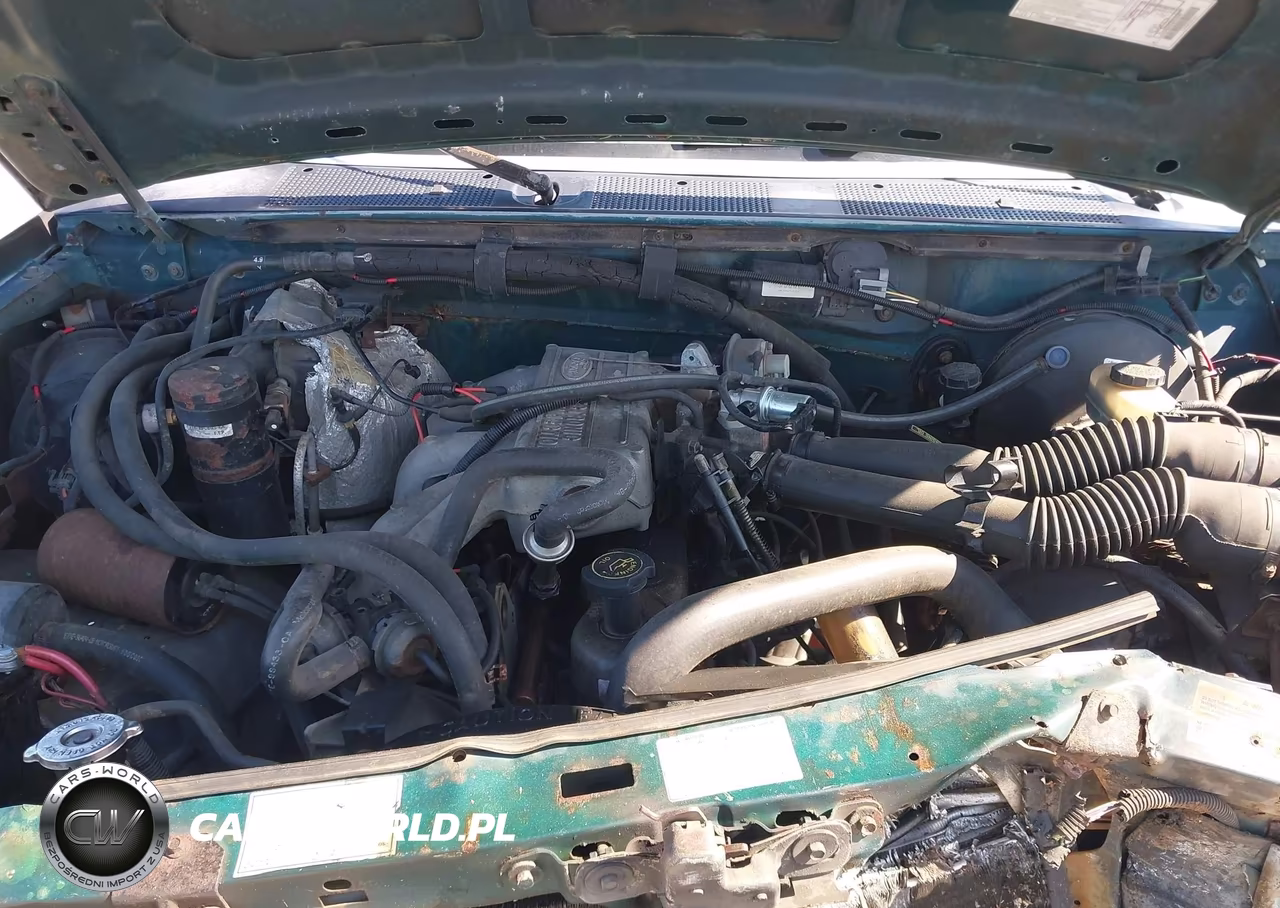 1995 Ford F150 VIN:1FTEF15Y5SLB44668 - 10