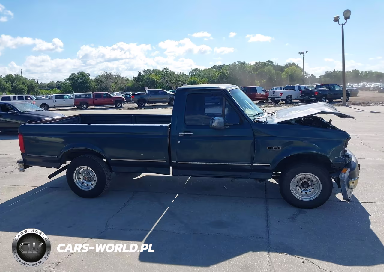 1995 Ford F150 VIN:1FTEF15Y5SLB44668 - 13