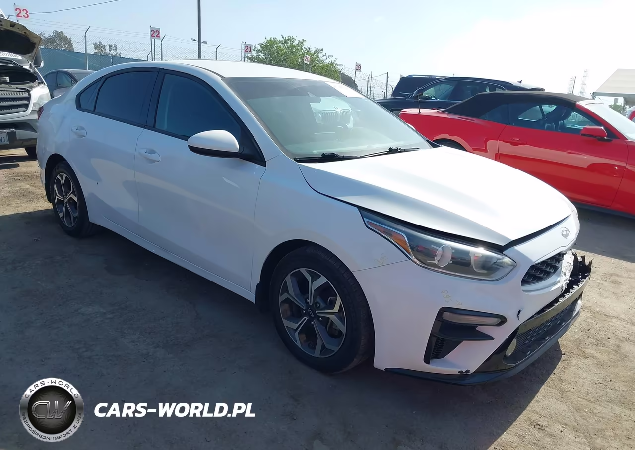 2019 Kia Forte Lxs