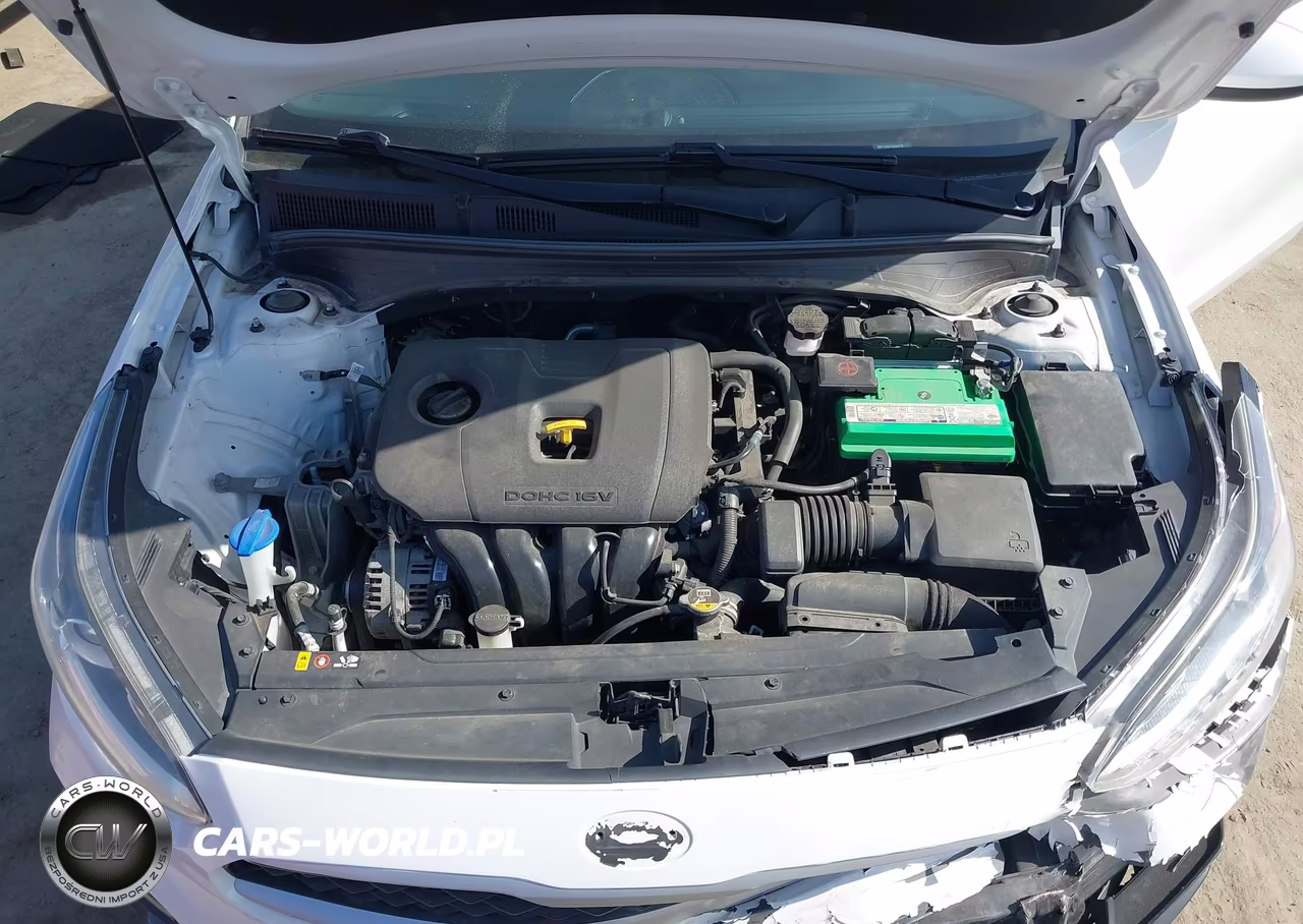 2019 Kia Forte Lxs VIN:3KPF24AD1KE044578 - 10