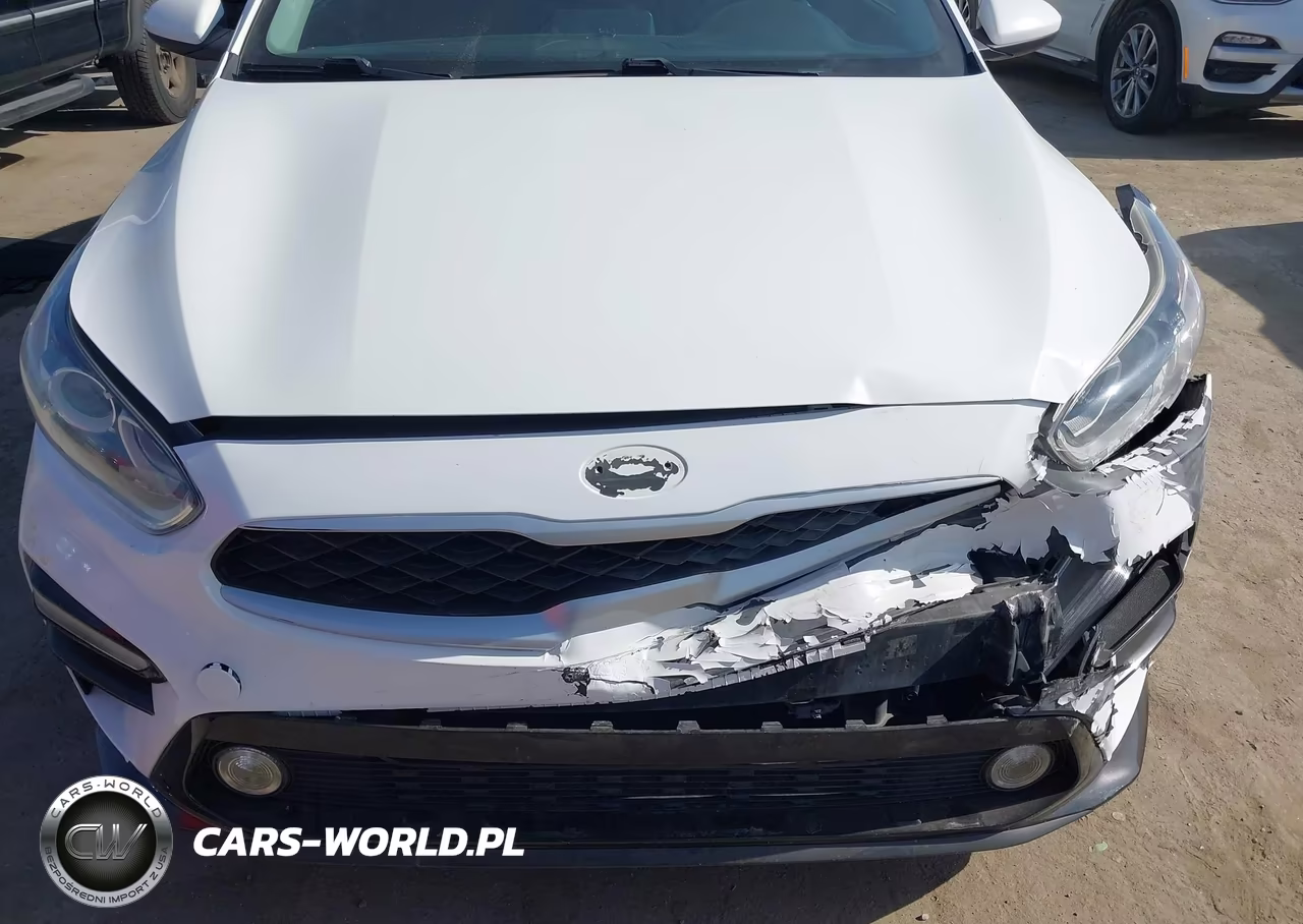 2019 Kia Forte Lxs VIN:3KPF24AD1KE044578 - 18
