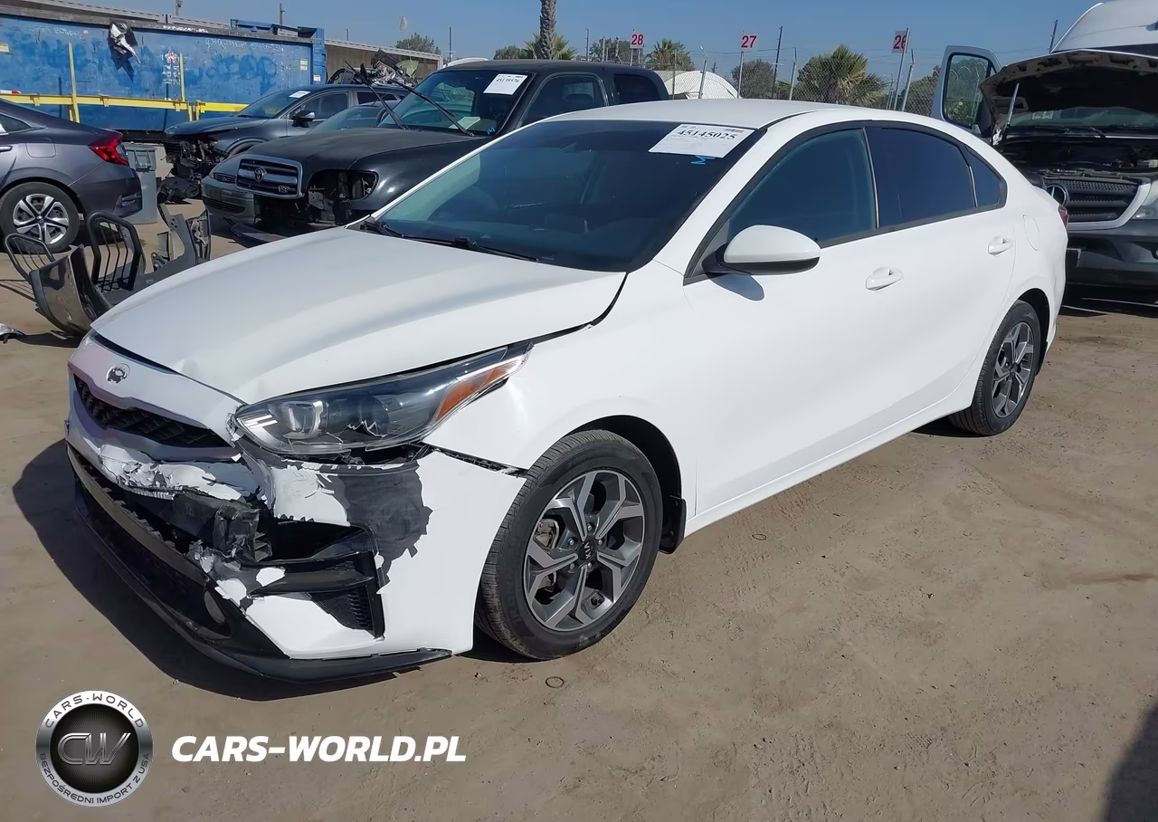 2019 Kia Forte Lxs VIN:3KPF24AD1KE044578 - 2