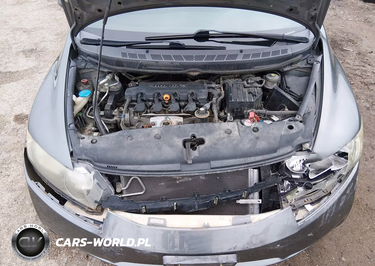 2009 Honda Civic Lx VIN:2HGFA165X9H313924 - 10