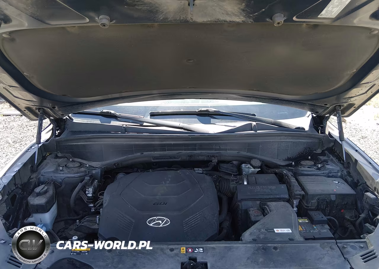 2020 Hyundai Palisade Sel VIN:KM8R4DHEXLU031171 - 10