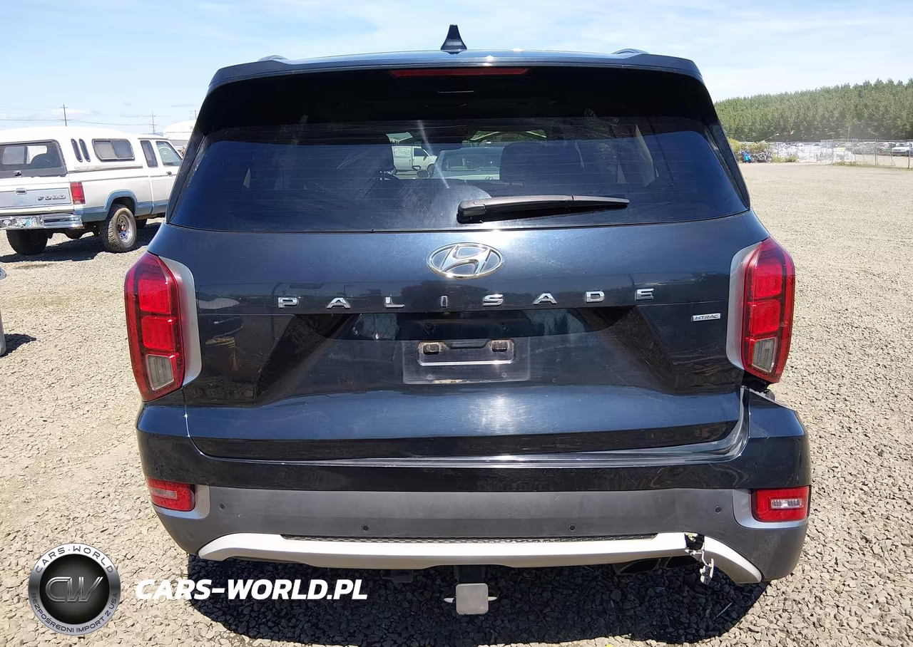 2020 Hyundai Palisade Sel VIN:KM8R4DHEXLU031171 - 17