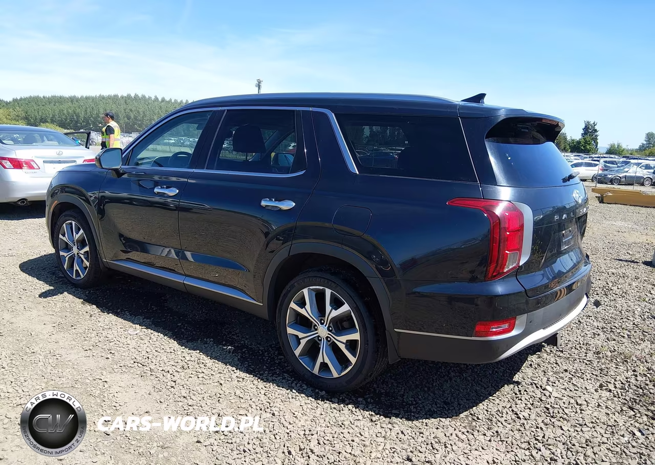 2020 Hyundai Palisade Sel VIN:KM8R4DHEXLU031171 - 3