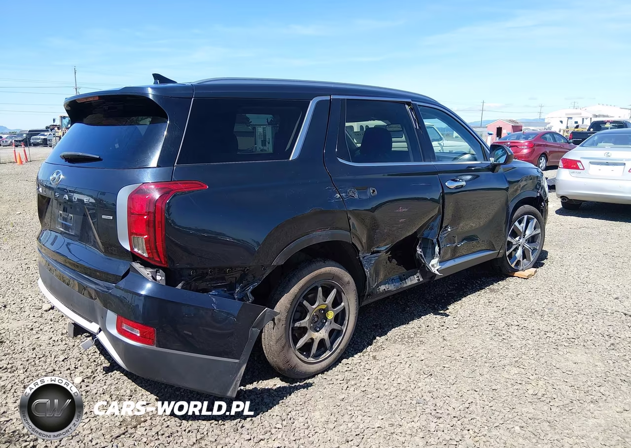 2020 Hyundai Palisade Sel VIN:KM8R4DHEXLU031171 - 4