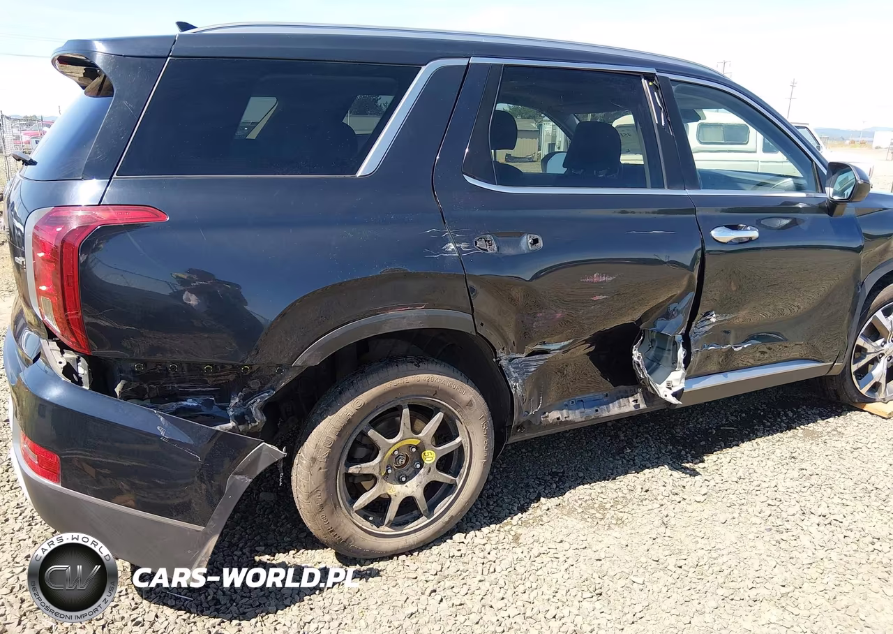 2020 Hyundai Palisade Sel VIN:KM8R4DHEXLU031171 - 6
