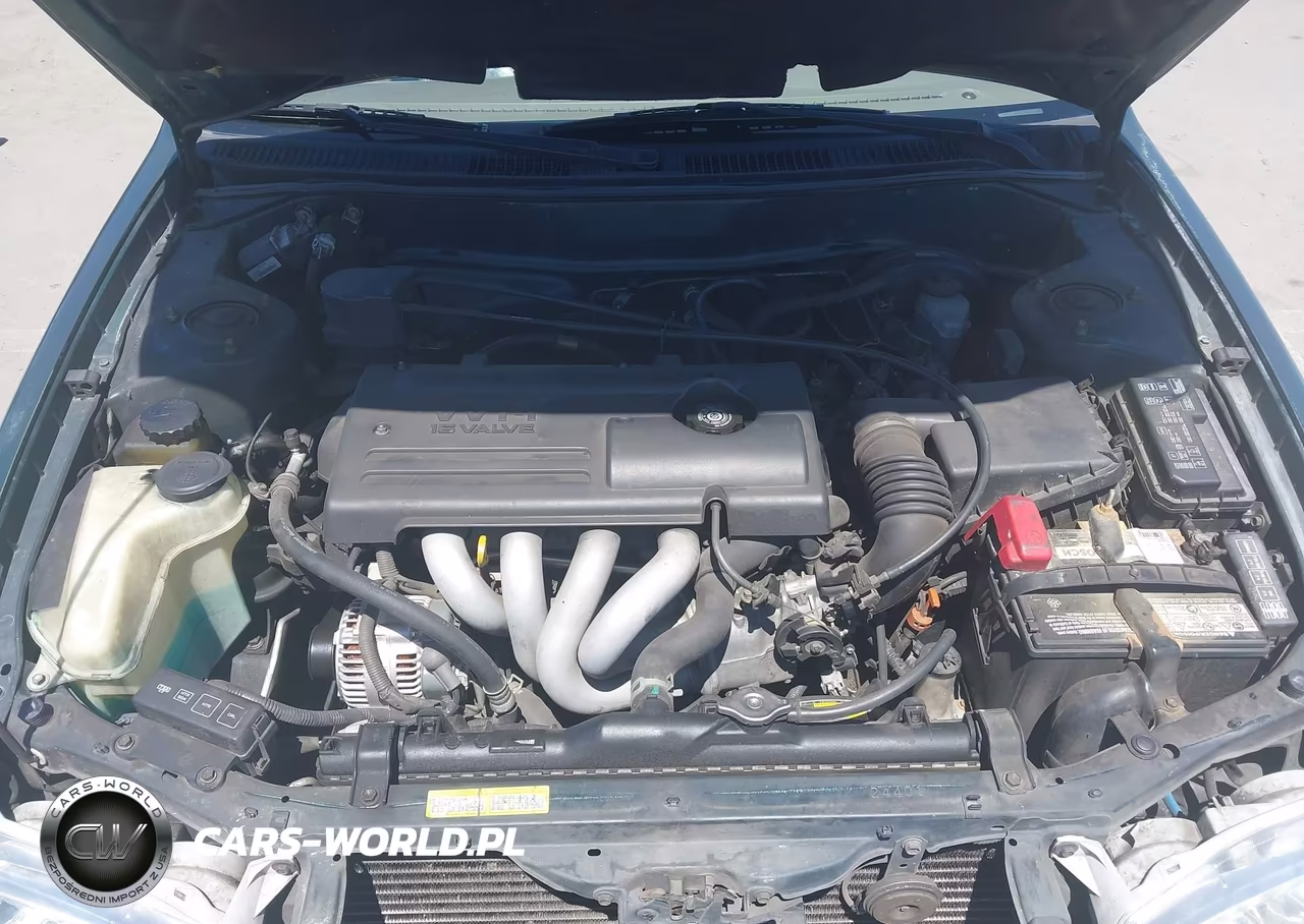 2001 Toyota Corolla Le VIN:1NXBR12E81Z435805 - 10