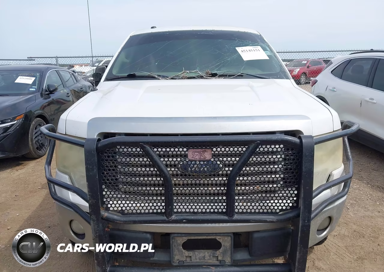 2010 Ford F-150 Fx2 Sport-Xl-Xlt VIN:1FTEW1C89AFA27126 - 12