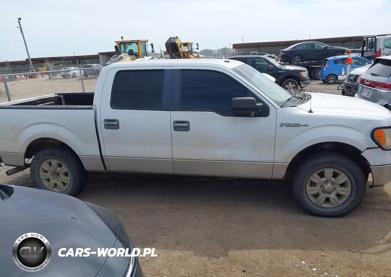 2010 Ford F-150 Fx2 Sport-Xl-Xlt VIN:1FTEW1C89AFA27126 - 13