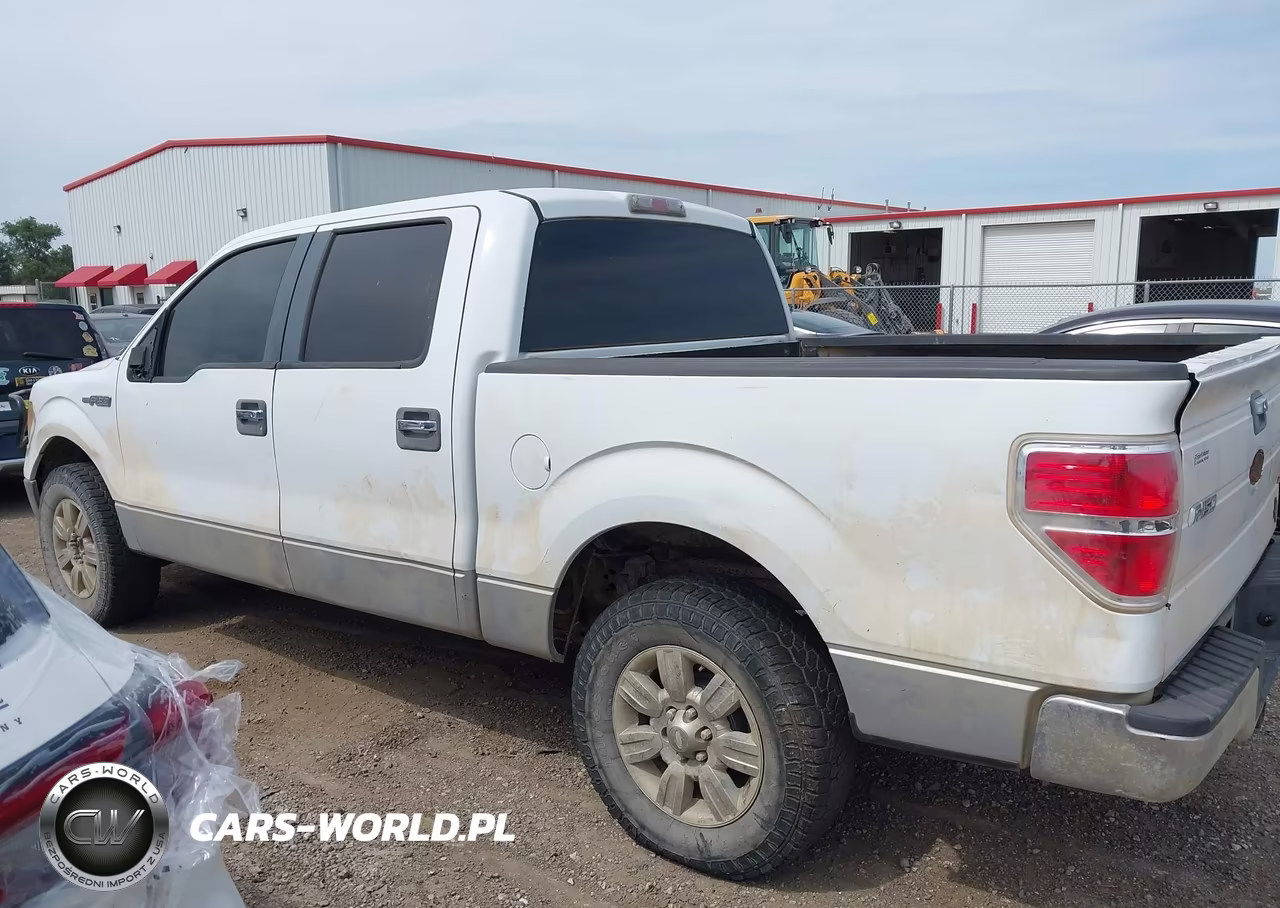 2010 Ford F-150 Fx2 Sport-Xl-Xlt VIN:1FTEW1C89AFA27126 - 14