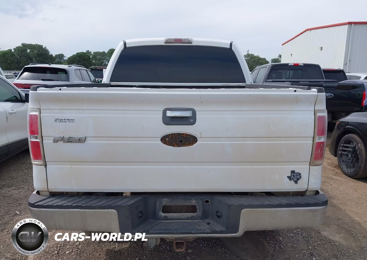 2010 Ford F-150 Fx2 Sport-Xl-Xlt VIN:1FTEW1C89AFA27126 - 16