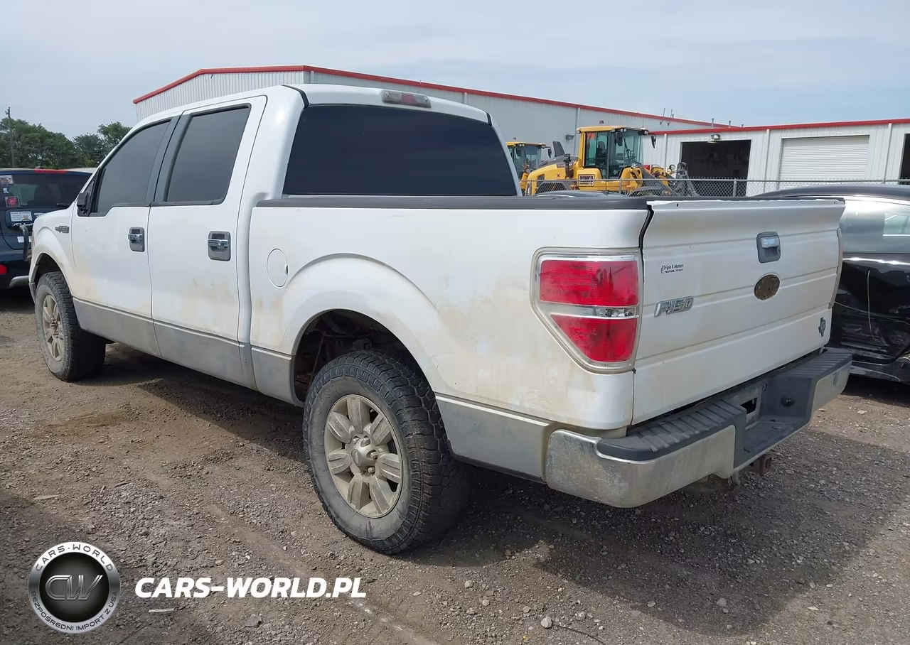 2010 Ford F-150 Fx2 Sport-Xl-Xlt VIN:1FTEW1C89AFA27126 - 3