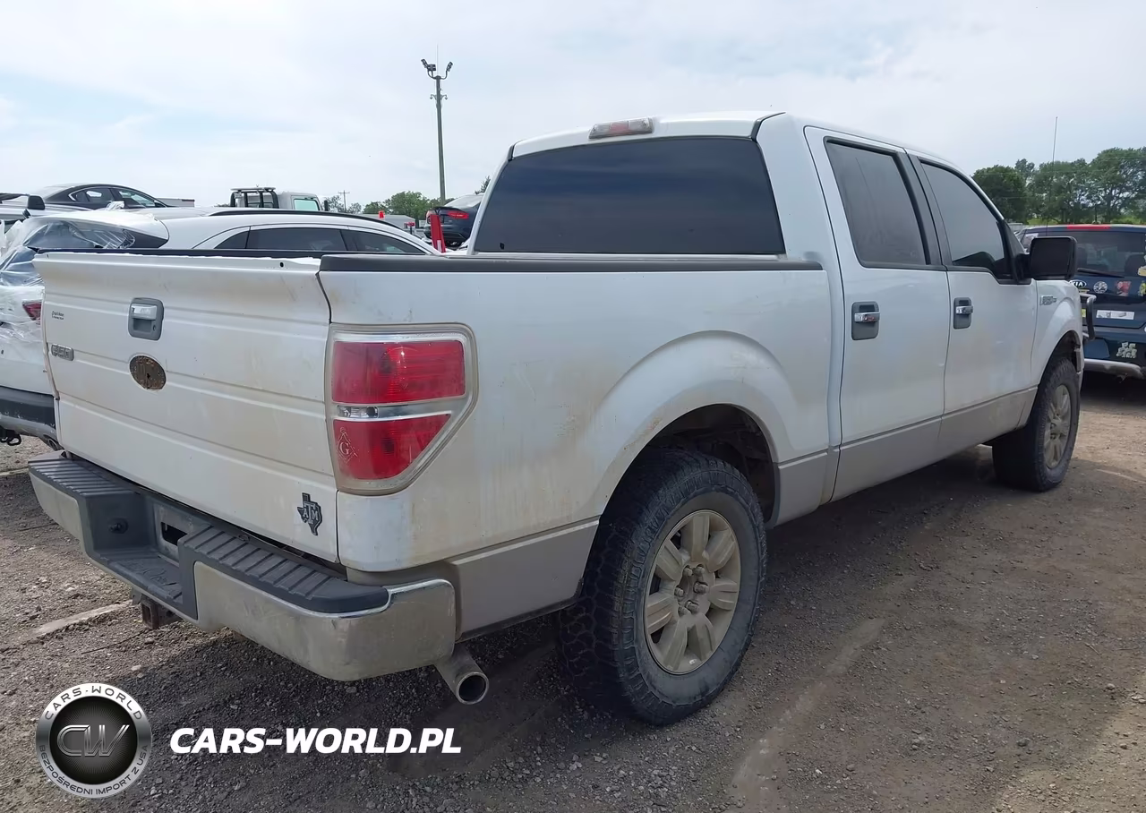 2010 Ford F-150 Fx2 Sport-Xl-Xlt VIN:1FTEW1C89AFA27126 - 4