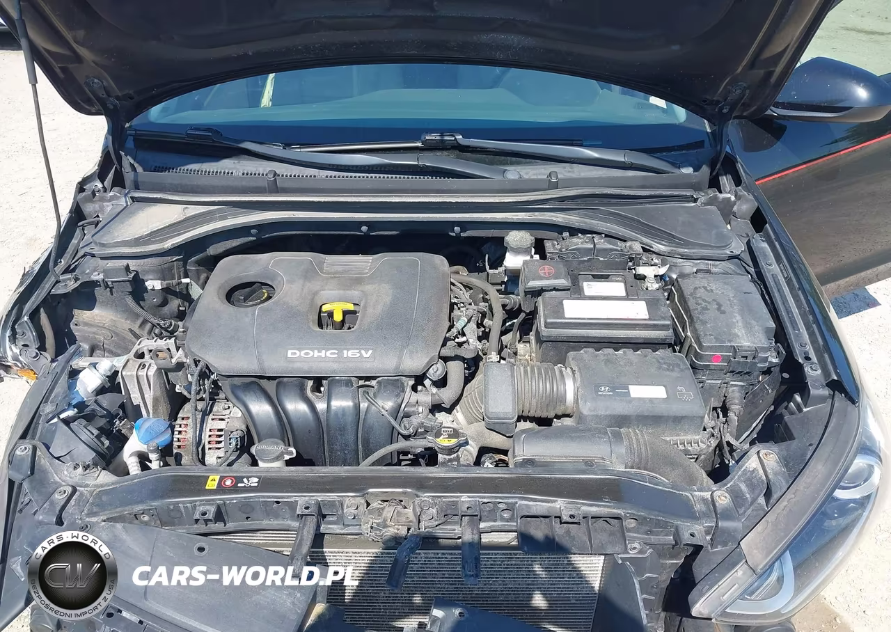 2018 Hyundai Elantra Sel-Value-Limited VIN:5NPD84LF4JH302686 - 10