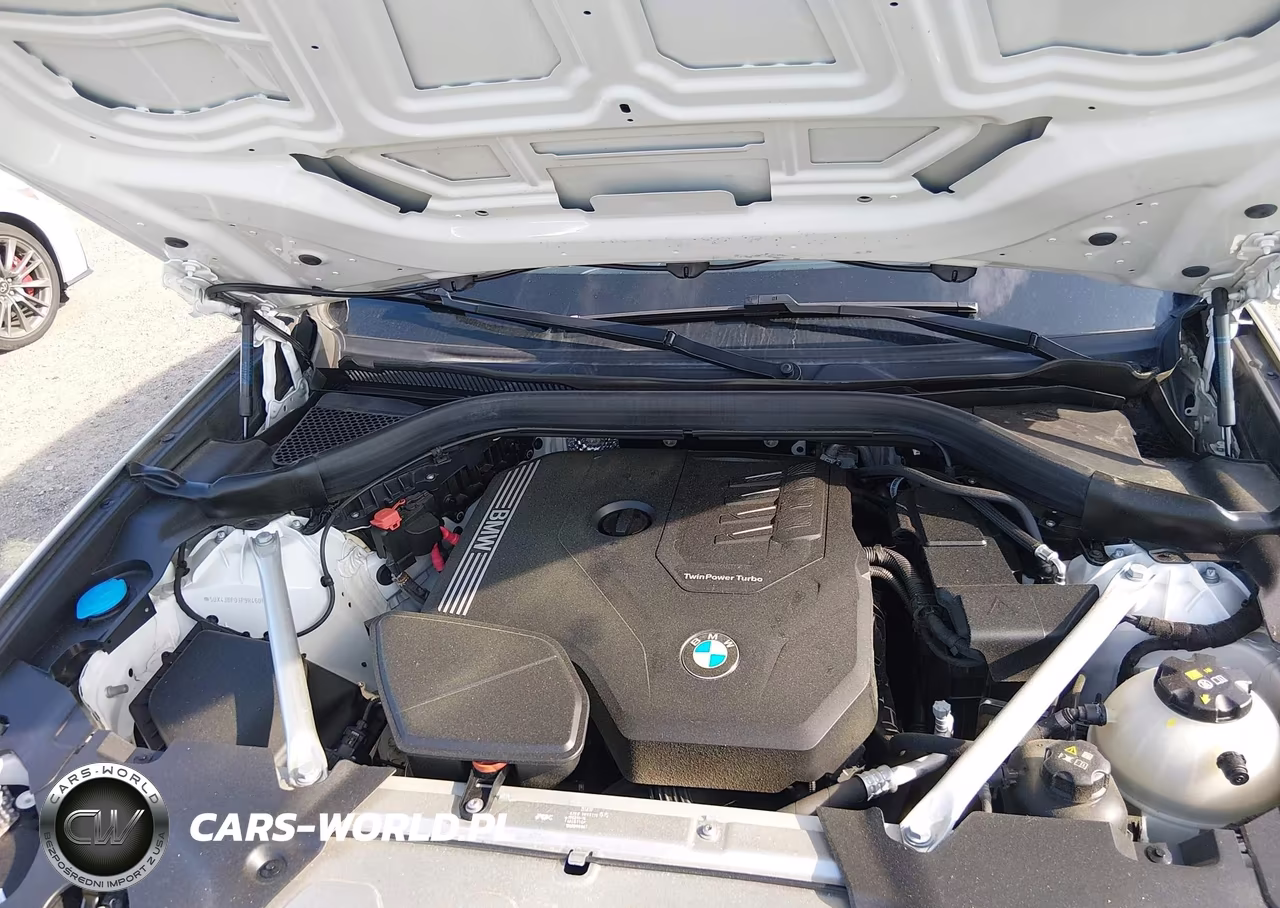 2023 BMW X3 Sdrive30I VIN:5UX43DP03P9R46068 - 10