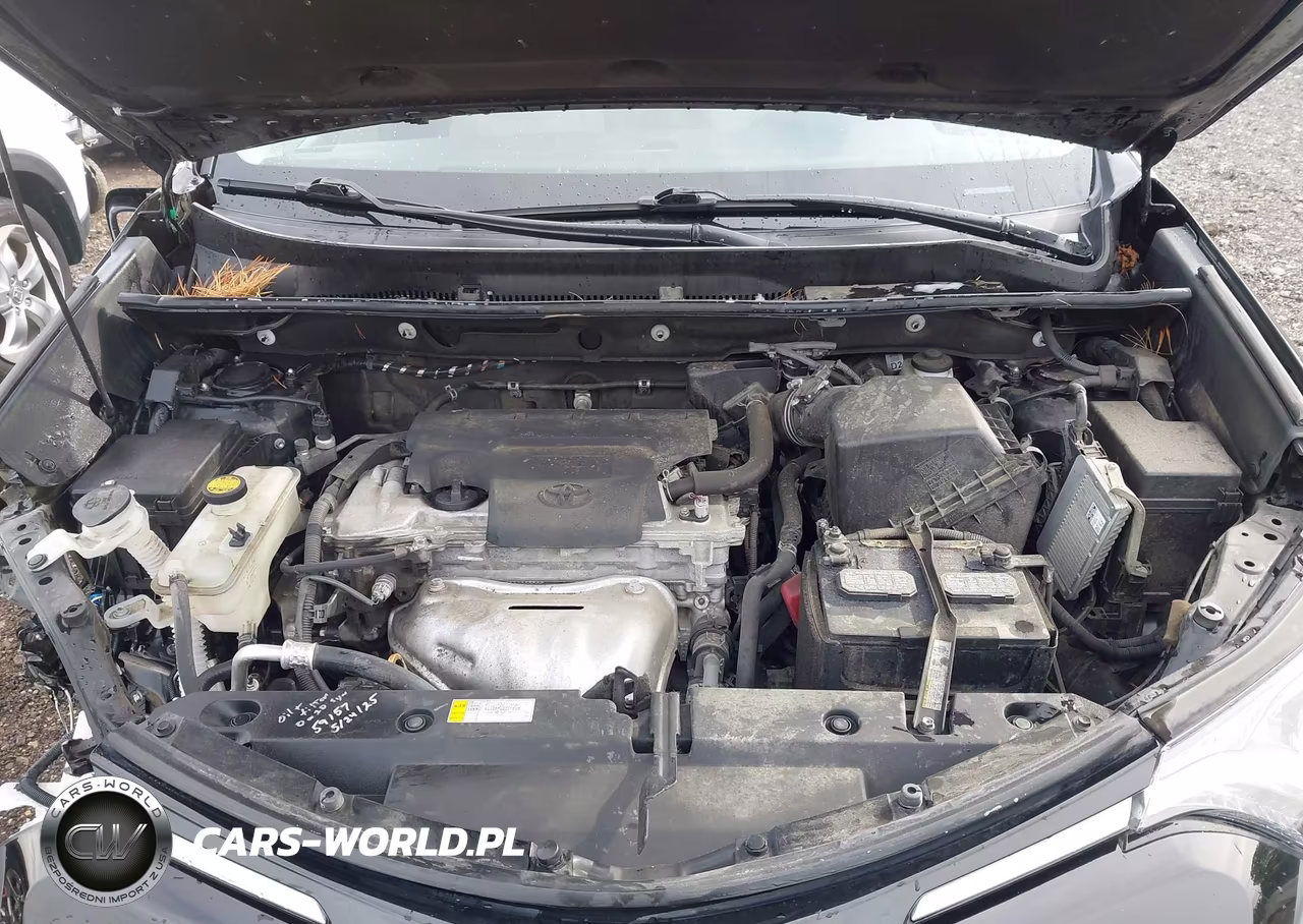 2018 Toyota Rav4 Xle VIN:2T3RFREV6JW841896 - 10