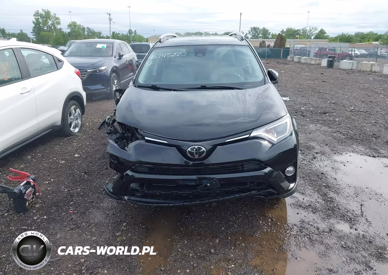 2018 Toyota Rav4 Xle VIN:2T3RFREV6JW841896 - 12