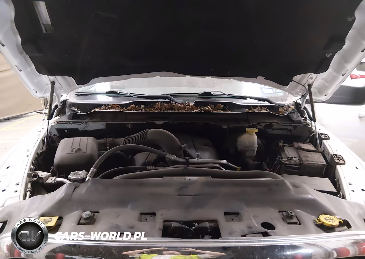 2019 Ram 1500 Classic VIN:1C6RR6TT4KS689349 - 10