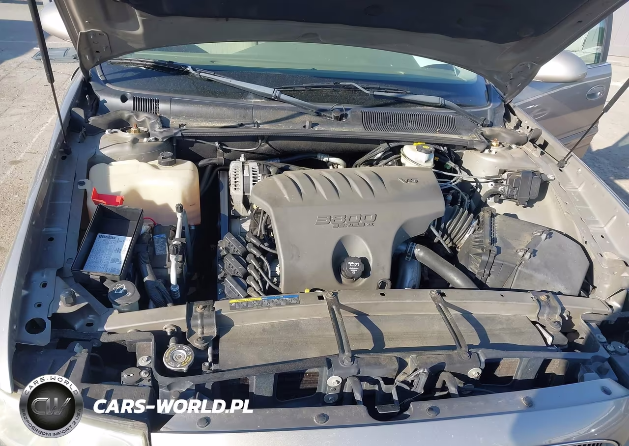 2004 Buick Lesabre Custom VIN:1G4HP52K44U213909 - 10