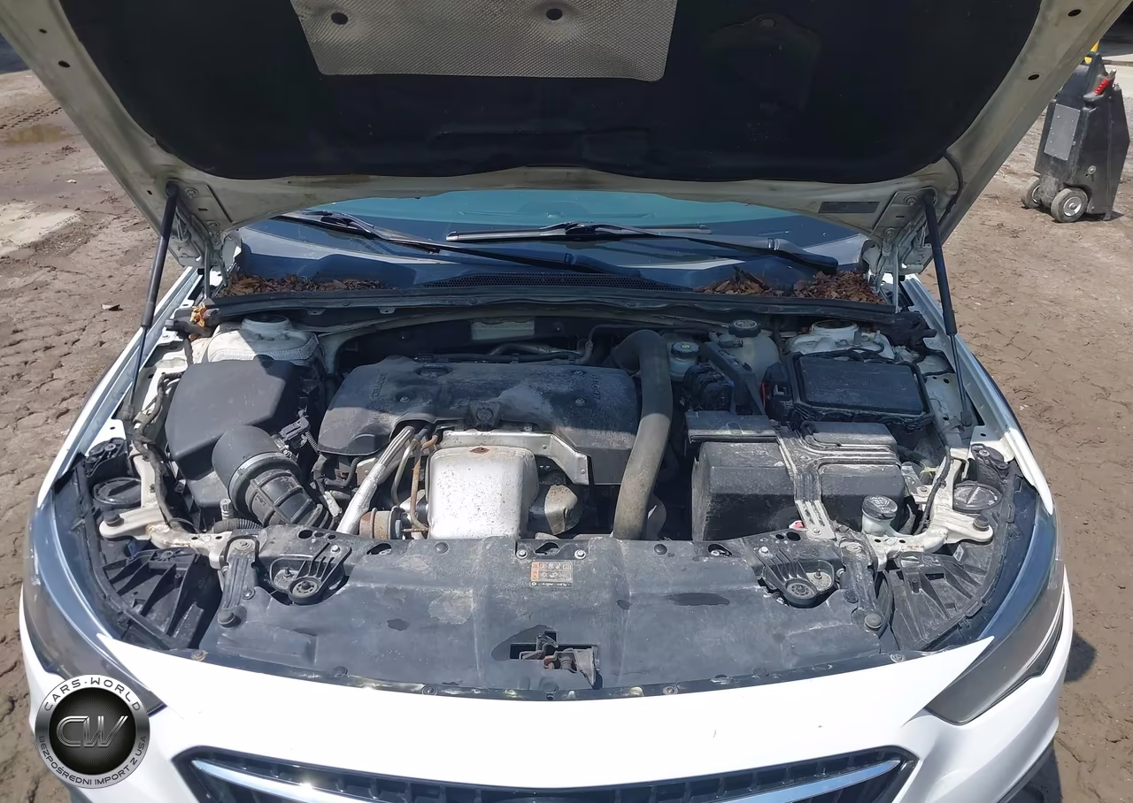 2019 Buick Regal Tourx Awd Essence VIN:W04GV8SX6K1021712 - 10