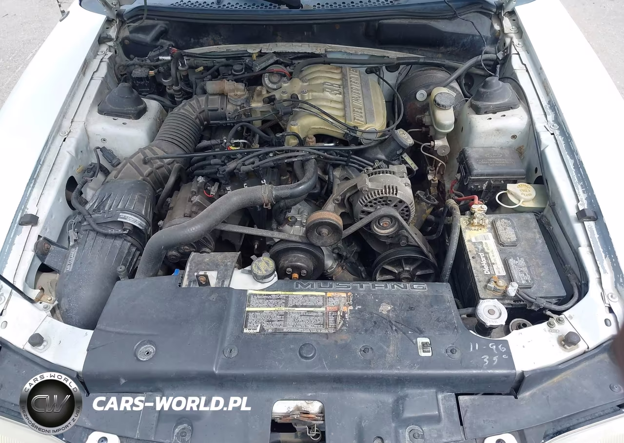 1994 Ford Mustang VIN:1FALP4446RF111097 - 10