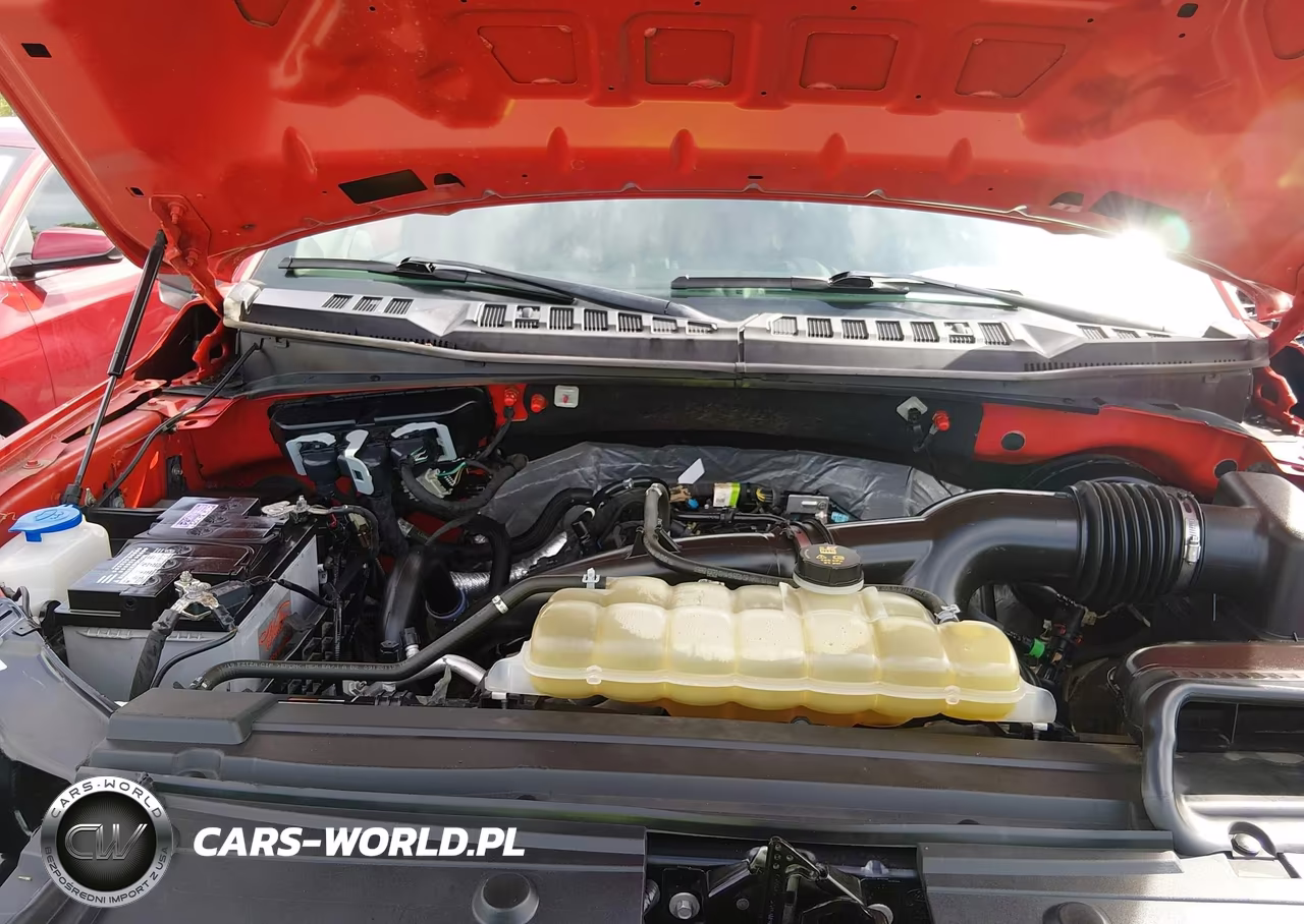 2019 Ford F-150 Xl VIN:1FTEW1CP7KFB75901 - 10