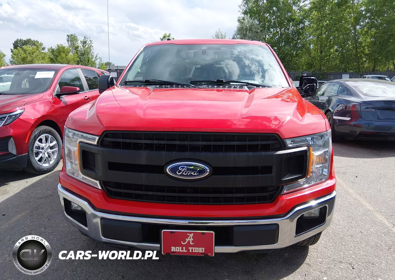 2019 Ford F-150 Xl VIN:1FTEW1CP7KFB75901 - 12