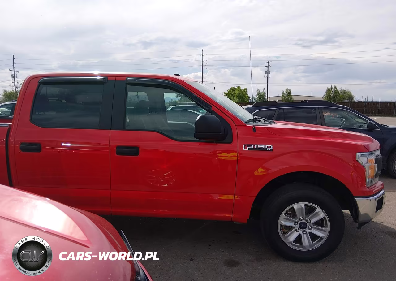 2019 Ford F-150 Xl VIN:1FTEW1CP7KFB75901 - 13