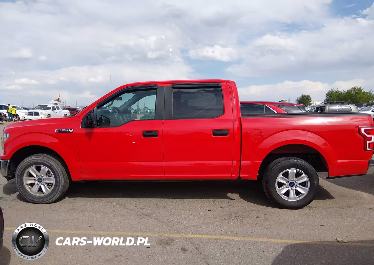 2019 Ford F-150 Xl VIN:1FTEW1CP7KFB75901 - 14