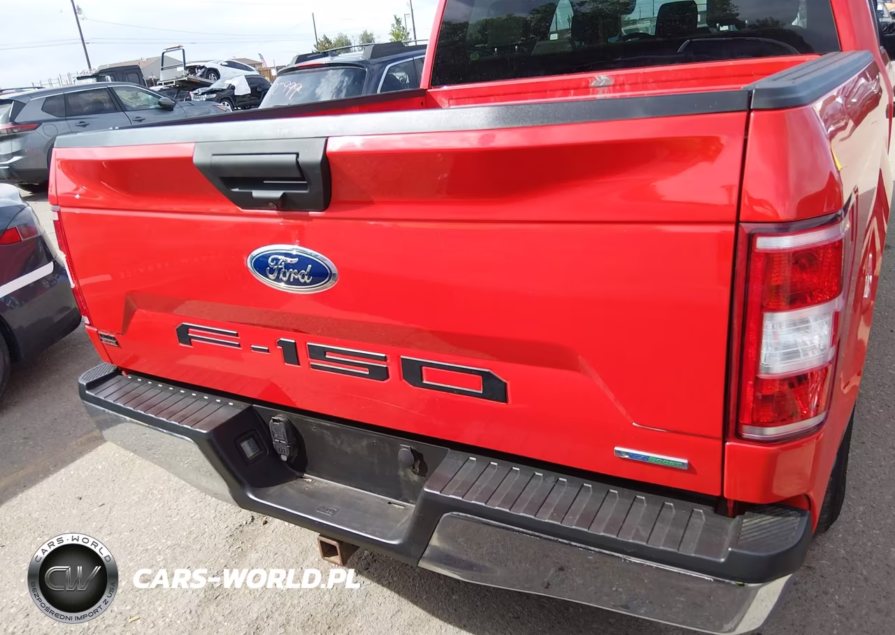 2019 Ford F-150 Xl VIN:1FTEW1CP7KFB75901 - 16