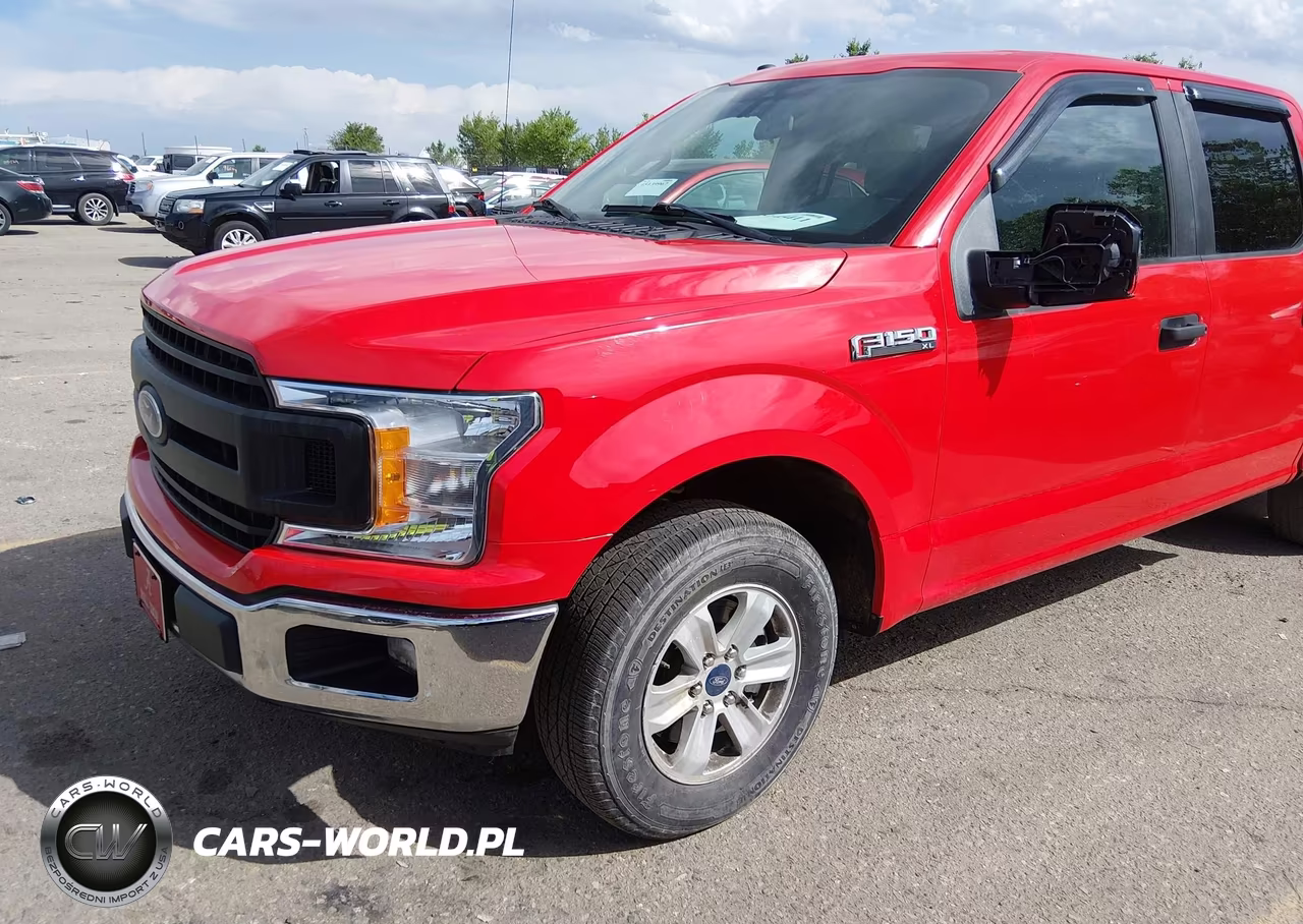 2019 Ford F-150 Xl VIN:1FTEW1CP7KFB75901 - 2