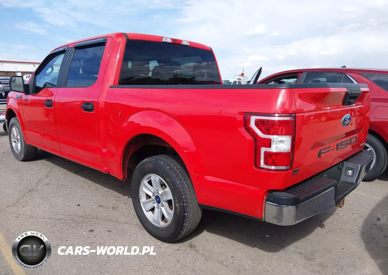 2019 Ford F-150 Xl VIN:1FTEW1CP7KFB75901 - 3