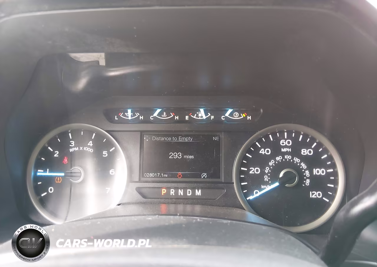 2019 Ford F-150 Xl VIN:1FTEW1CP7KFB75901 - 7