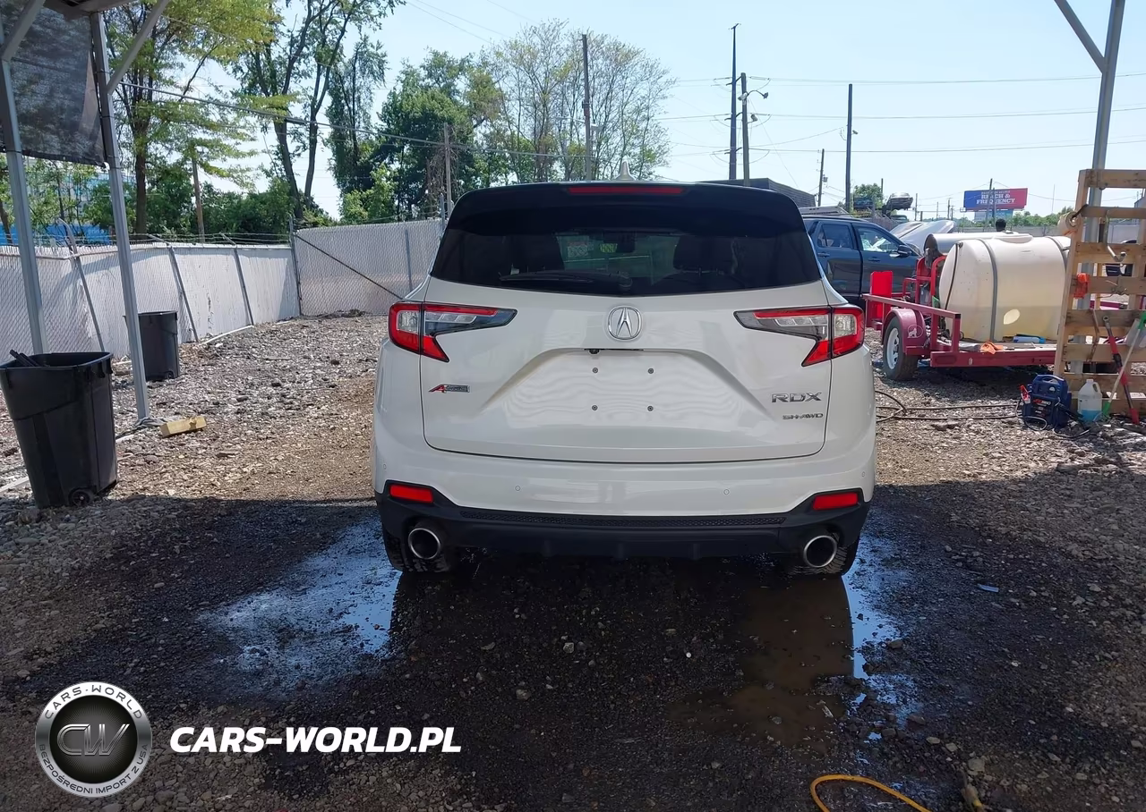 2019 Acura Rdx A-Spec Package VIN:5J8TC2H6XKL024396 - 17