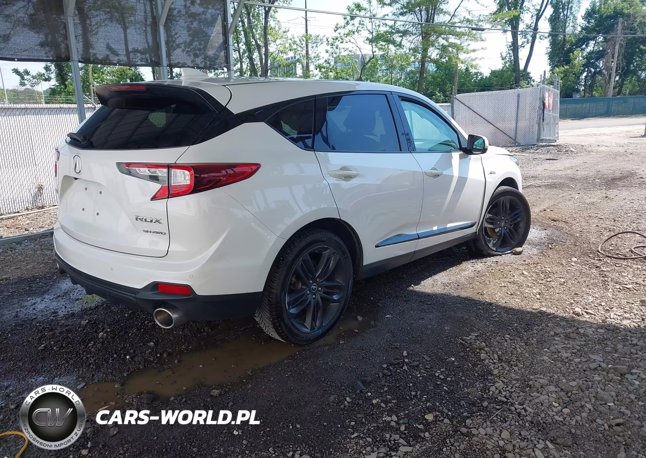 2019 Acura Rdx A-Spec Package VIN:5J8TC2H6XKL024396 - 4