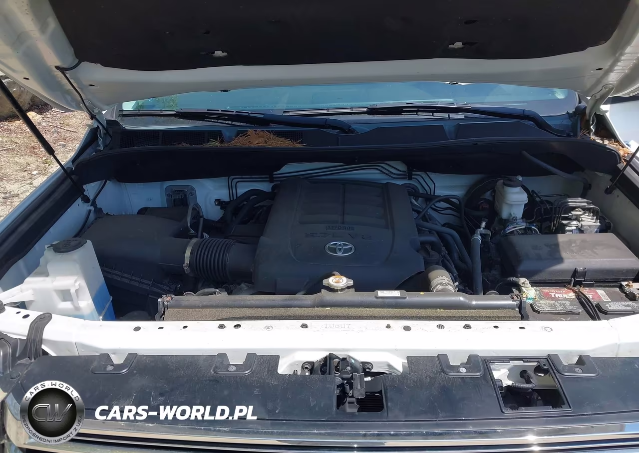 2020 Toyota Tundra 1794 Edition VIN:5TFAY5F19LX906914 - 10