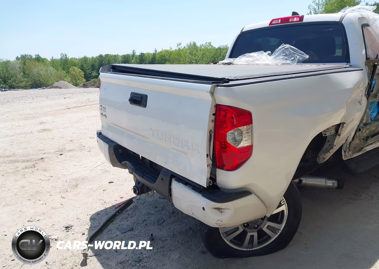 2020 Toyota Tundra 1794 Edition VIN:5TFAY5F19LX906914 - 19