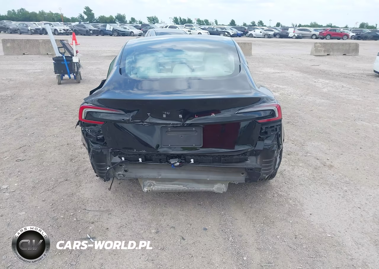2025 Tesla Model 3 Long Range Rear-Wheel Drive-Standard Rear-Wheel Drive VIN:5YJ3E1EA6SF886321 - 17