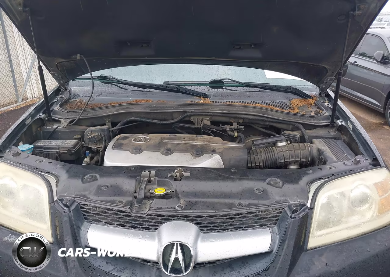 2006 Acura Mdx VIN:2HNYD18876H547367 - 10