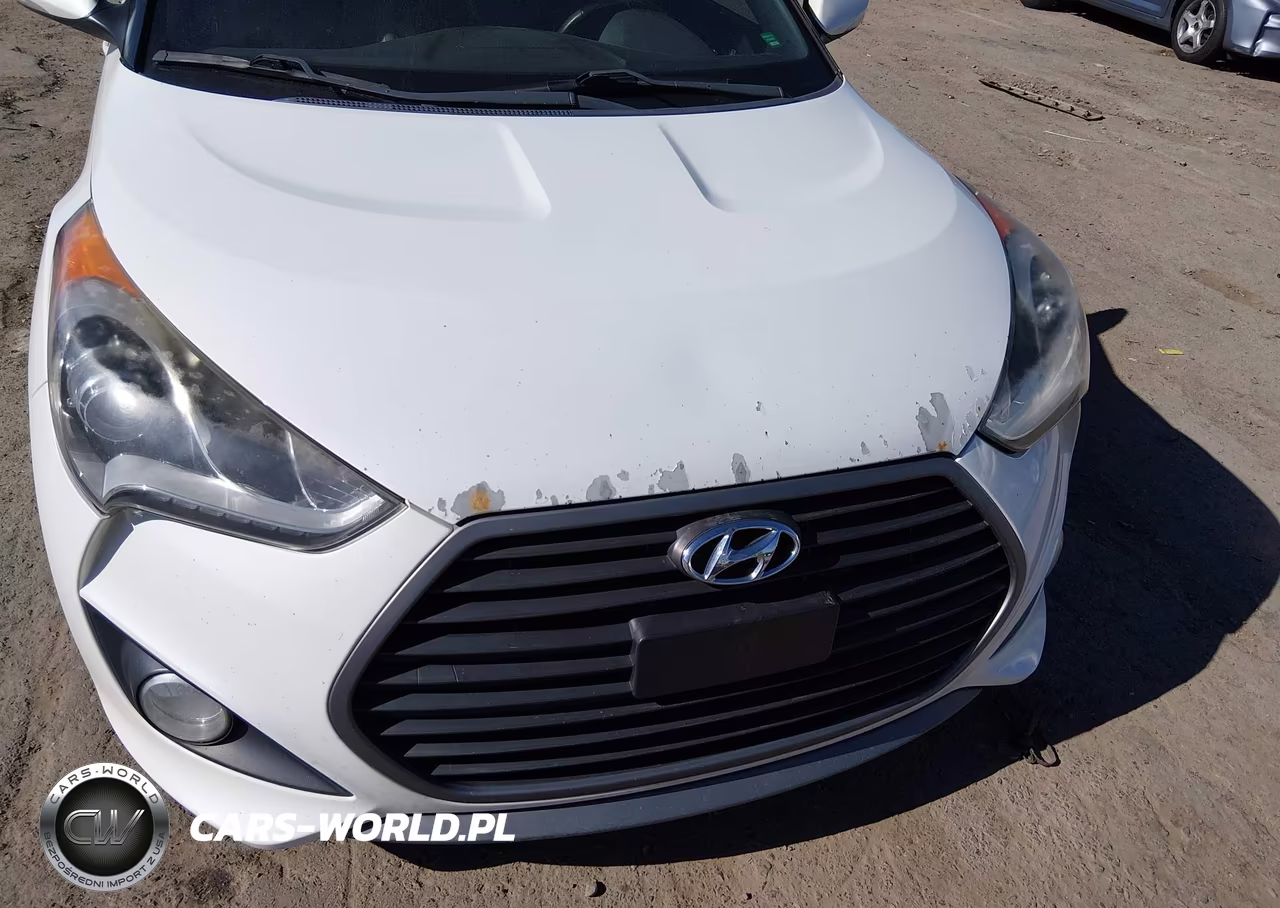 2016 Hyundai Veloster Turbo VIN:KMHTC6AE2GU249139 - 12
