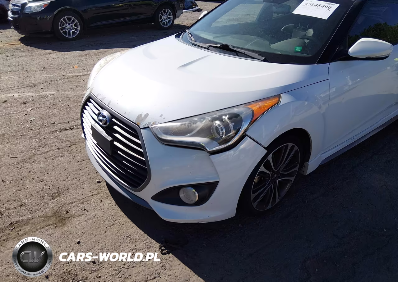 2016 Hyundai Veloster Turbo VIN:KMHTC6AE2GU249139 - 6