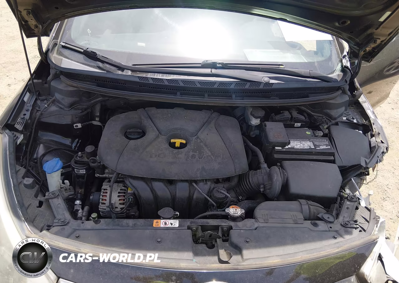 2015 Kia Forte Lx VIN:KNAFK4A6XF5437026 - 10