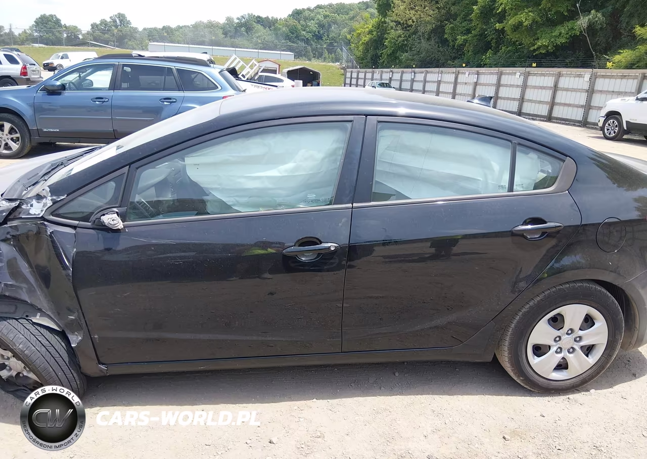 2015 Kia Forte Lx VIN:KNAFK4A6XF5437026 - 14