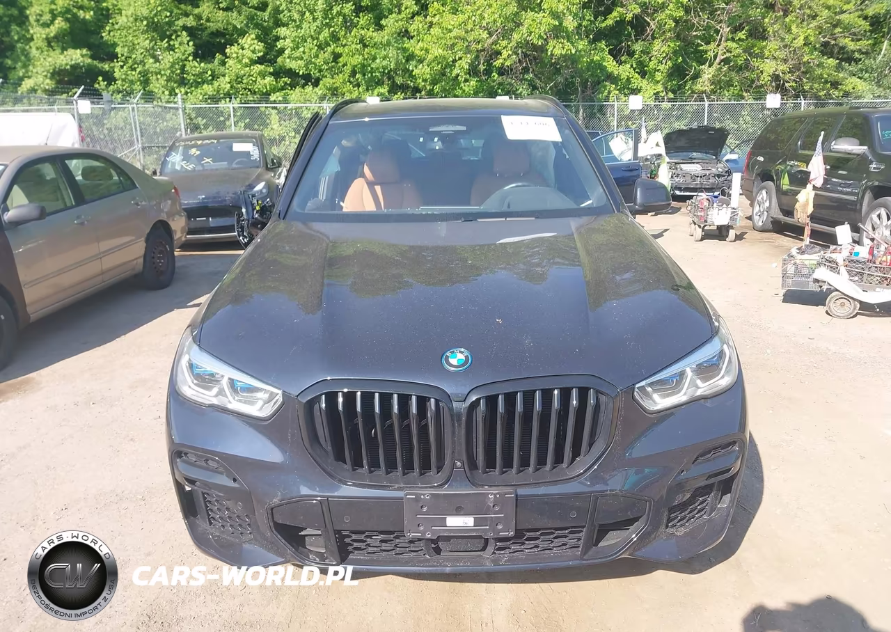 2023 BMW X5 Phev xDrive45E VIN:5UXTA6C09P9P62854 - 12